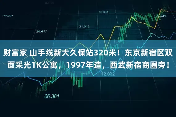 财富家 山手线新大久保站320米！东京新宿区双面采光1K公寓，1997年造，西武新宿商圈旁！