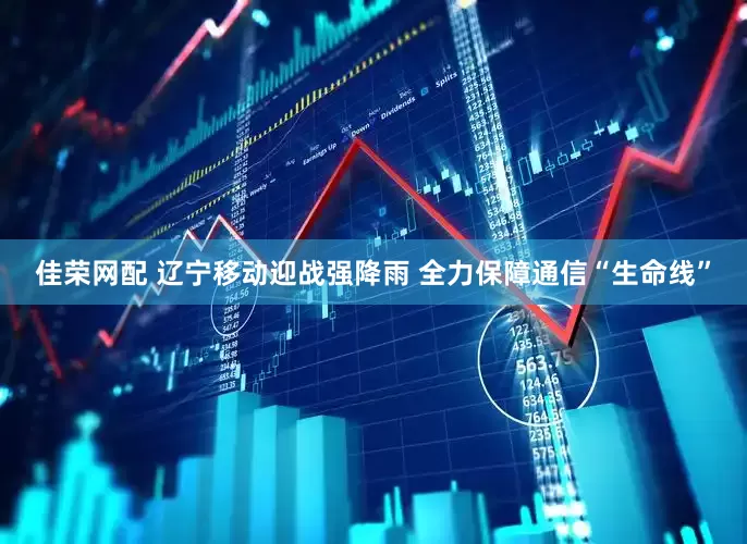 佳荣网配 辽宁移动迎战强降雨 全力保障通信“生命线”