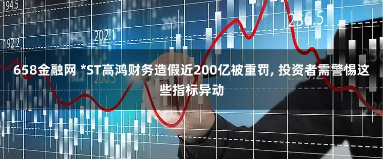 658金融网 *ST高鸿财务造假近200亿被重罚, 投资者需警惕这些指标异动